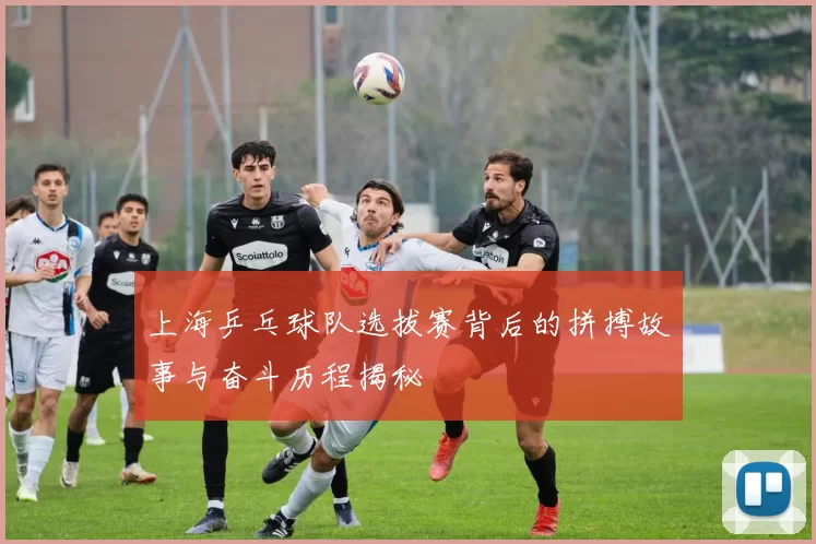 上海乒乓球队选拔赛背后的拼搏故事与奋斗历程揭秘