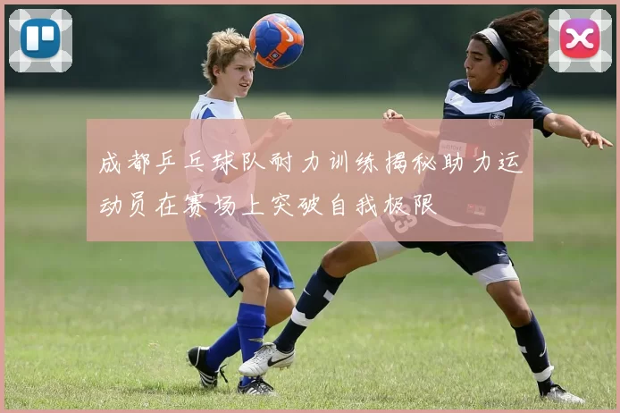 成都乒乓球队耐力训练揭秘助力运动员在赛场上突破自我极限